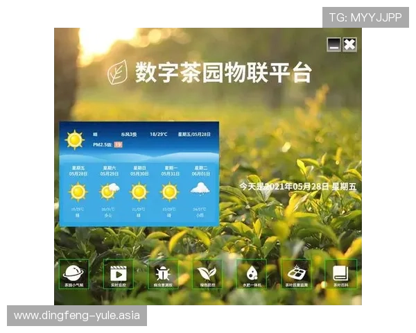 摩卡娱乐用户体验提升方案分析打造更流畅更精彩的游戏环境